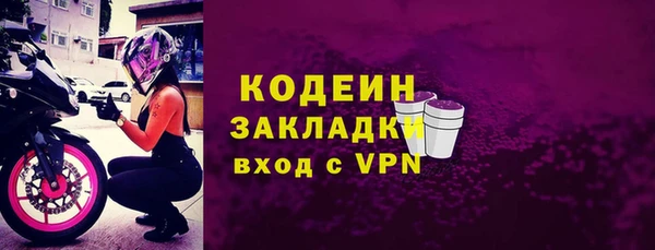 прущие грибы Березники