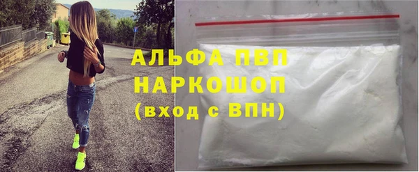 прущие грибы Березники