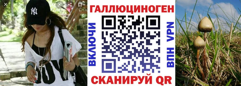 купить закладку  Нижнеудинск  Галлюциногенные грибы Psilocybine cubensis 