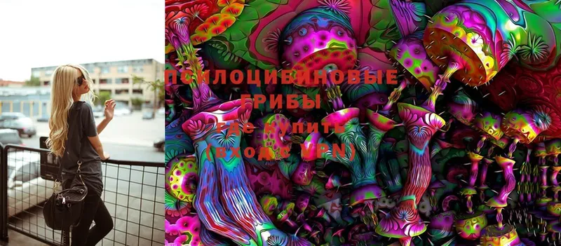 Псилоцибиновые грибы Psilocybine cubensis Нижнеудинск