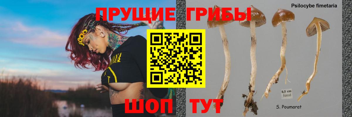 Нижнеудинск  Псилоцибиновые грибы MAGIC MUSHROOMS  Вход с VPN 